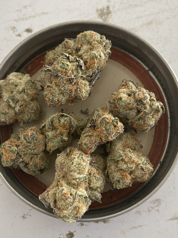 F812CD20-36D6-44F8-902F-173597B6B151