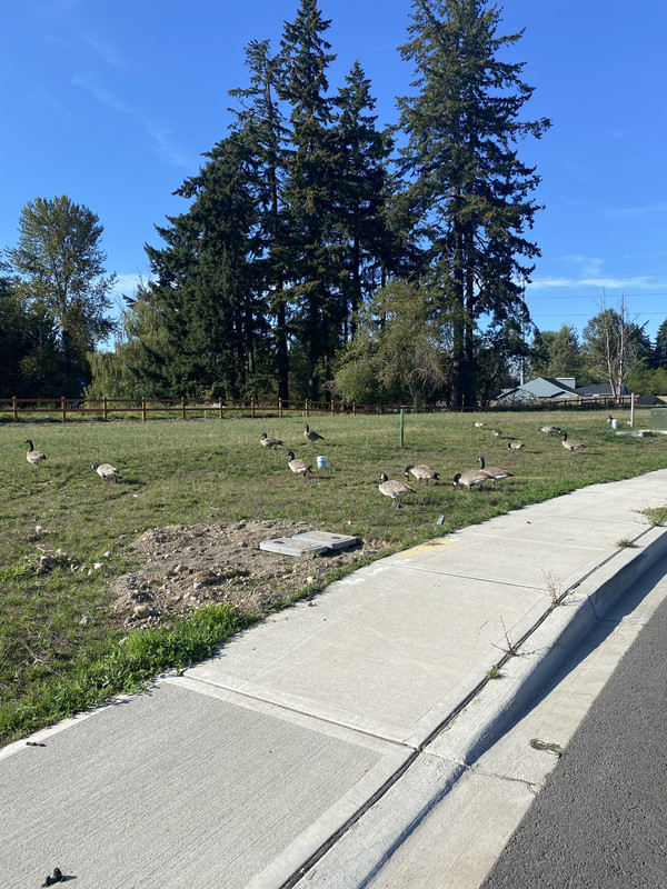 8EB8B18C-4585-454C-8F67-35FFB8434217