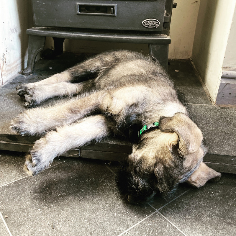 F4FF47DA-C426-4435-AF19-9FD43D2B45F5_1_105_c