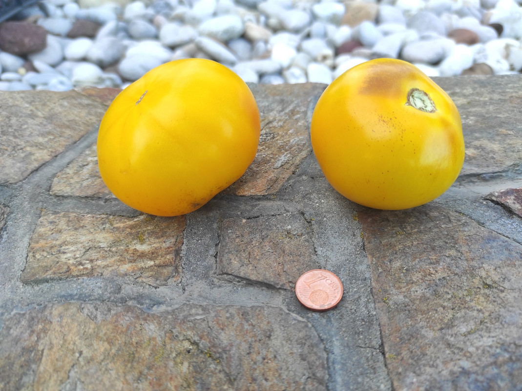 551038904_24601109456174755_5878054905020313122_n