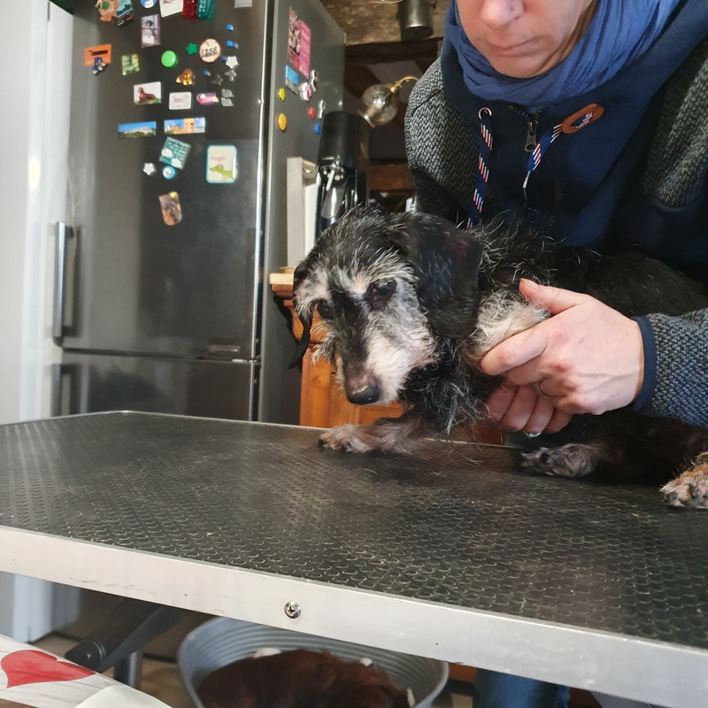 [Image: 20210204-160938.jpg]