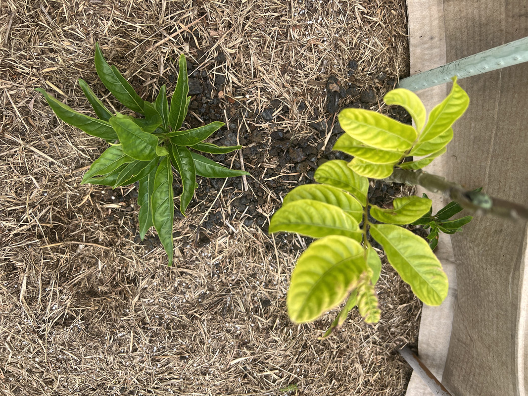 975757D9-6A18-4453-A077-05E7169B2EA2