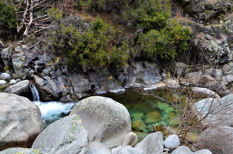 EL CHARCO VERDE-7-2-2015-AVILA - Paseando por España-1991/2016 (23)