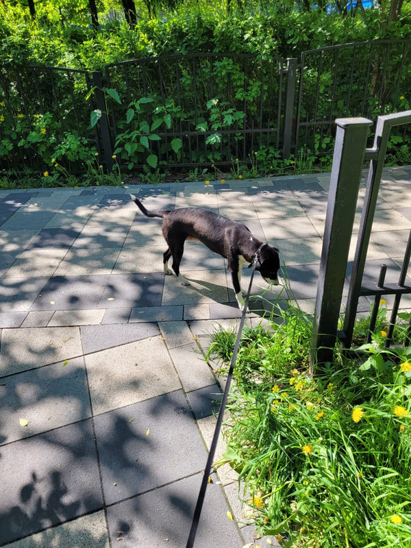 9EA439E6-27B4-4016-8AC5-AF588366D99B