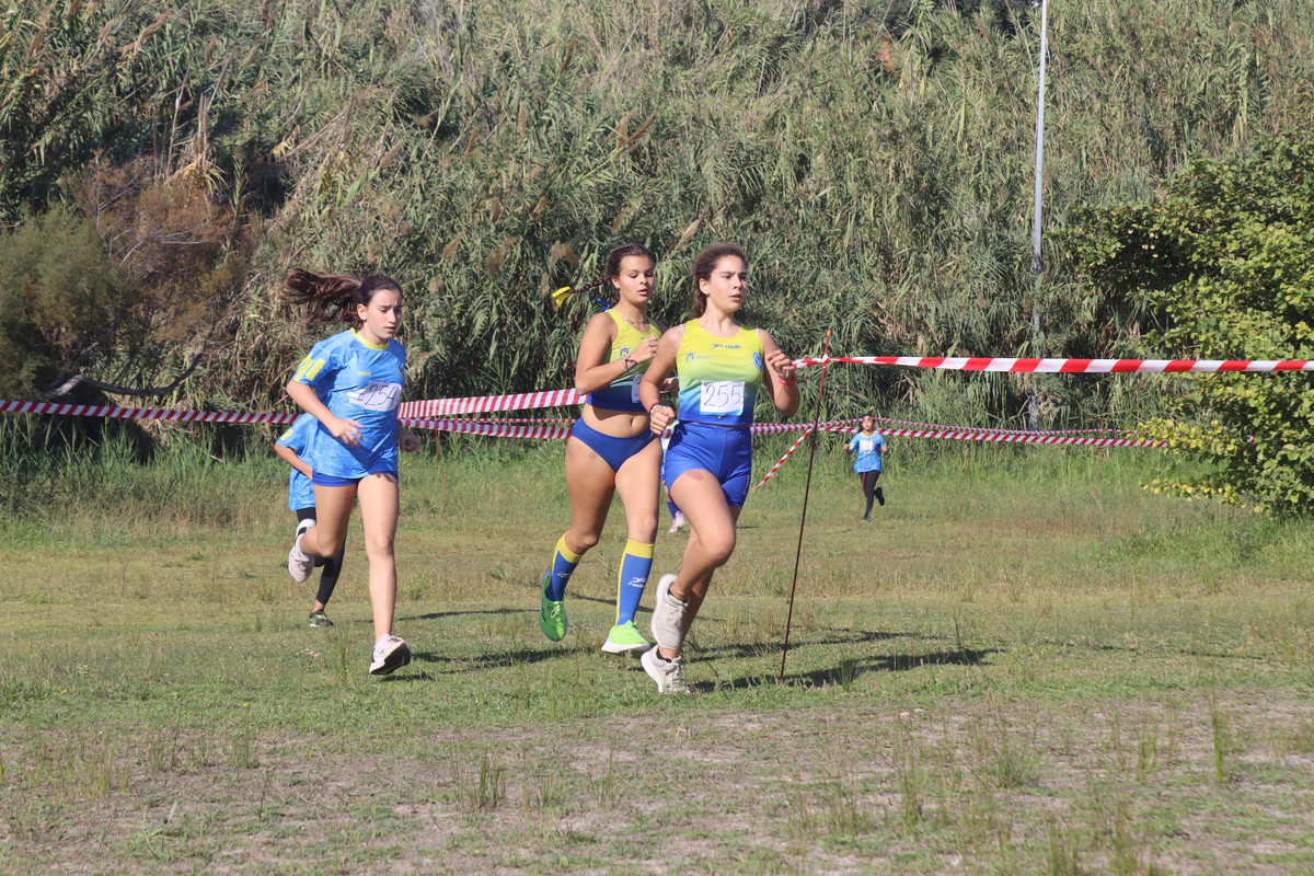 IMG-4107