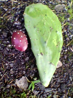 Image0(4)