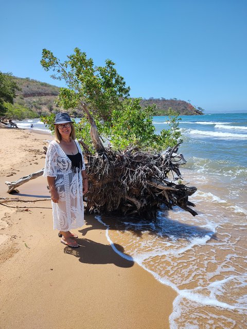 IMG_20230404_135056354