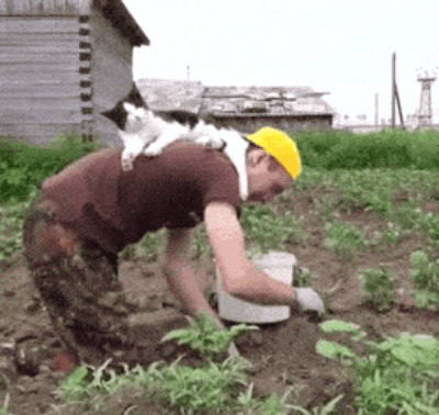 665.gif