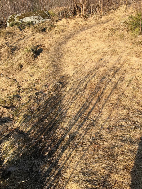 39C86DF1-33DE-4B8A-A584-2567D8BCDACC