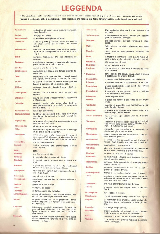 Animali di Tutto il Mondo 1965 Panini-66