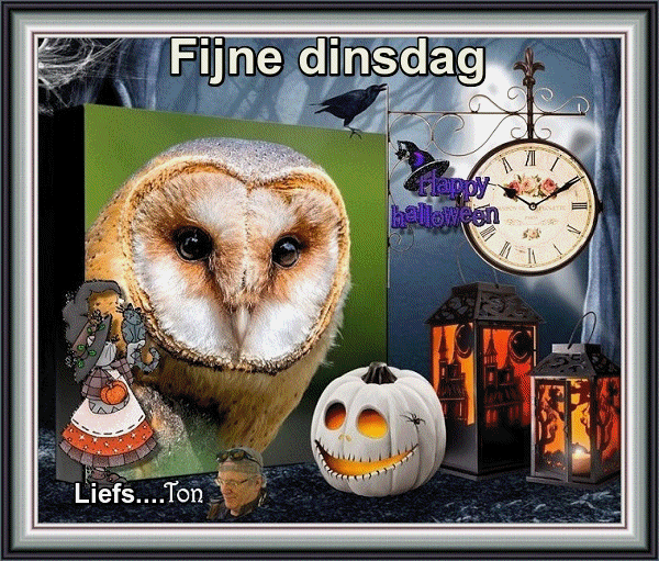 www.krabbelplaatjes.com