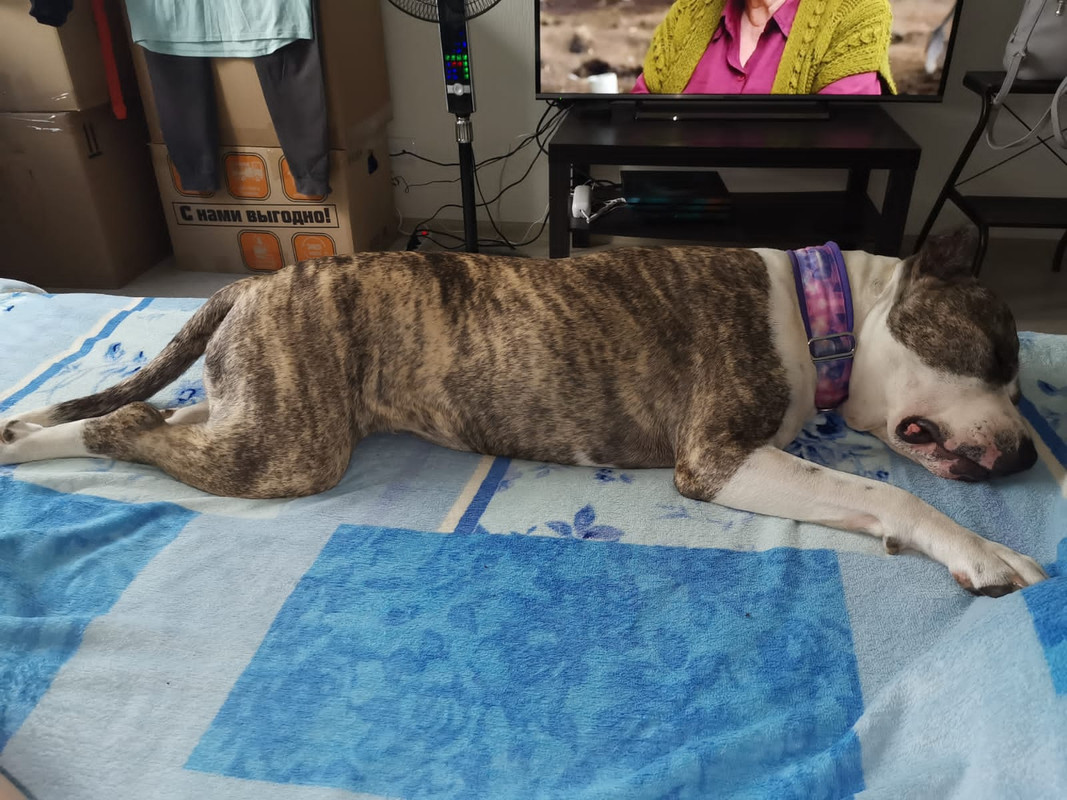 376300B2-CEF2-4E88-982D-7828C837E176