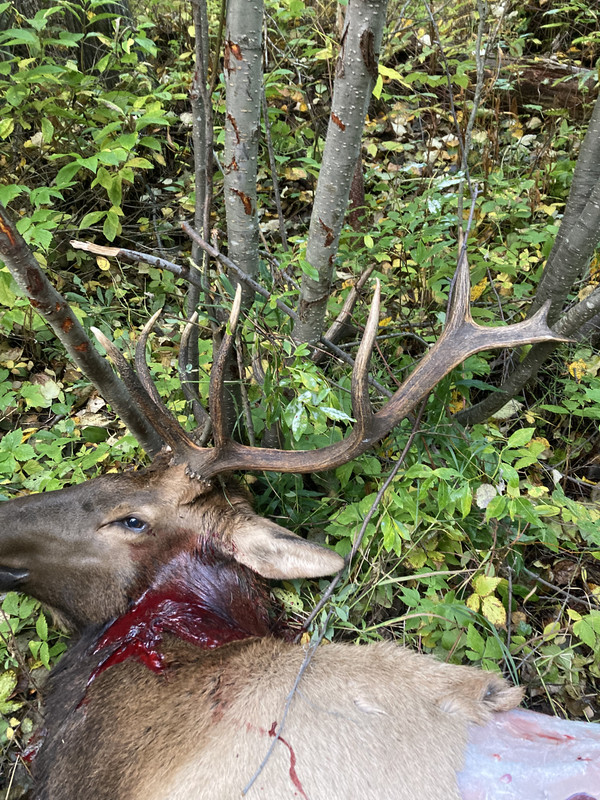 2EF1B425-E143-4A60-AB9A-AFCC0EF247B6