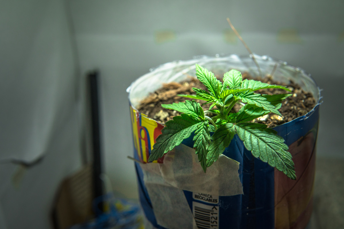 seguimientoindoor1.01 (11 de 13)