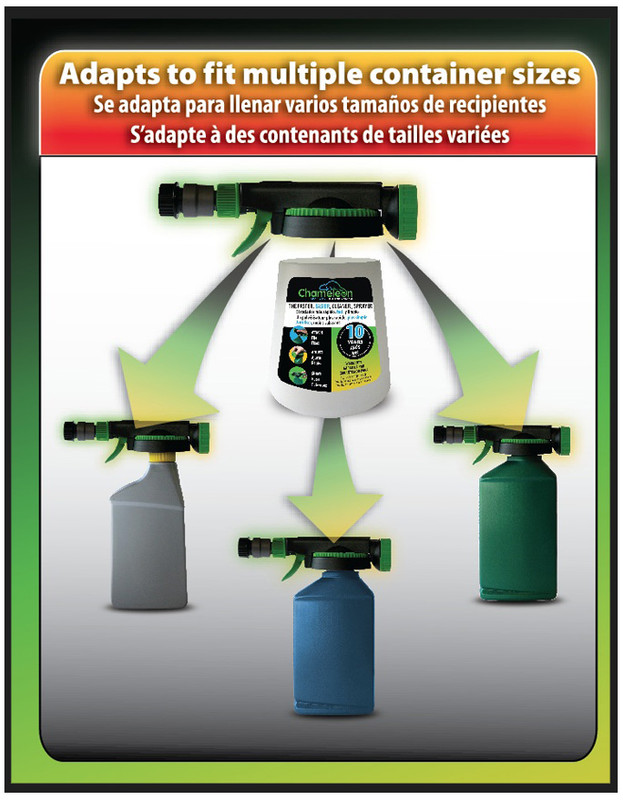 2 Chameleon Illustration