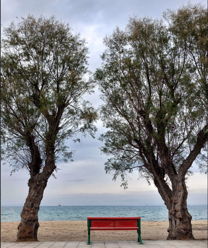 ΜΟΝΑΧΙΚΟ ΠΑΓΚΑΚΙ...