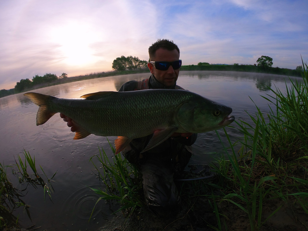 A08710DE-5754-4170-8596-06B09CC688DB