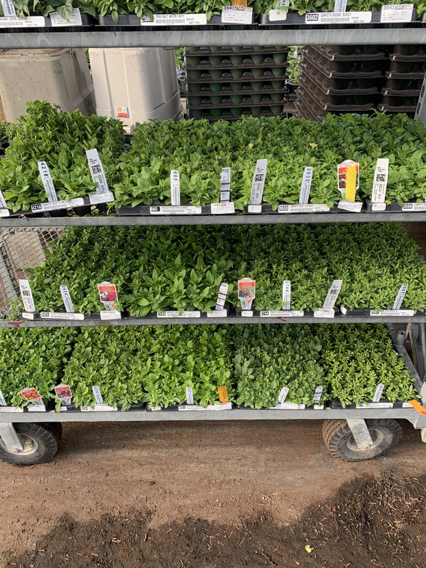 8C49BE2A-F381-4558-AFD1-B177AA39F6D0