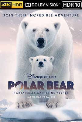 Polar Bear (2022) .mkv WEB-DL 2160p DV & HDR10 & DVHDR10 E-AC3 ITA ENG SUBS