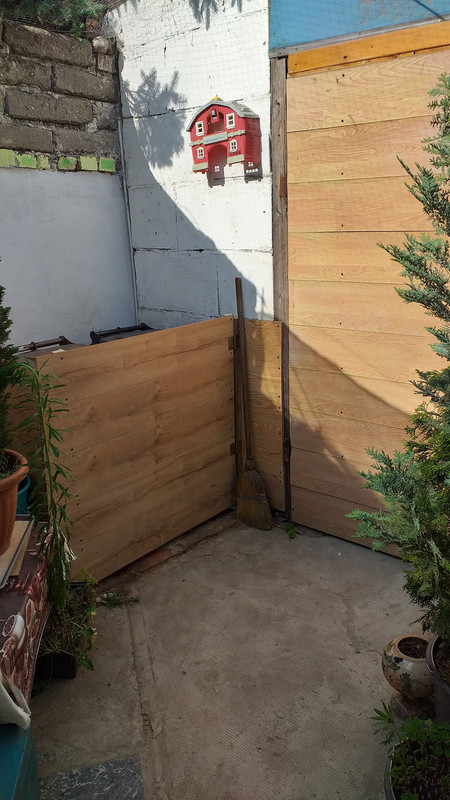 357715889_10226970654069724_5505753561055627606_n