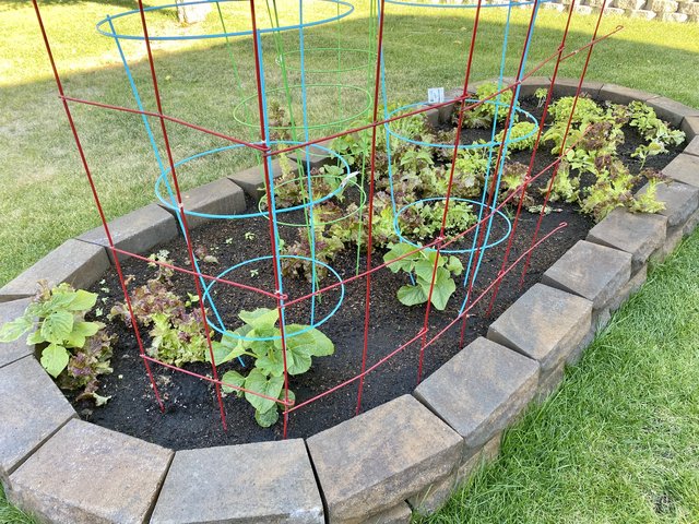 [Image: 02370-D1-F-0442-4825-9-B73-D9-A7-AB023-BE3.jpg]