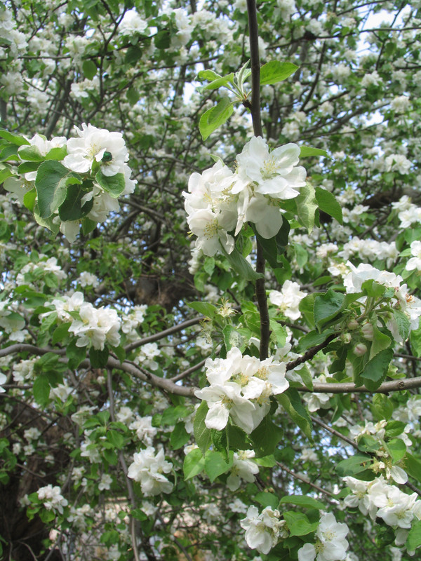 29 апреля 2024 043