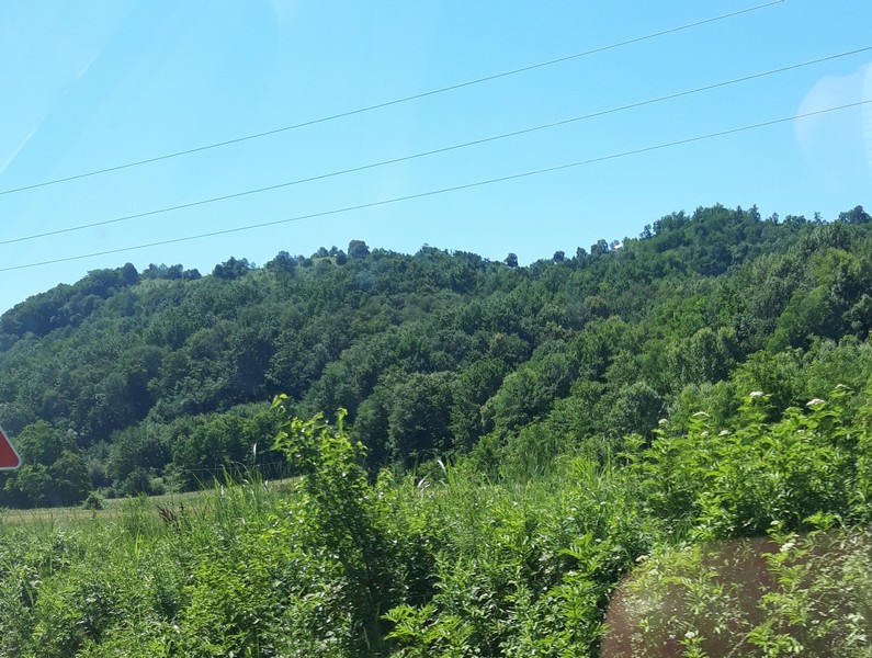 Slika