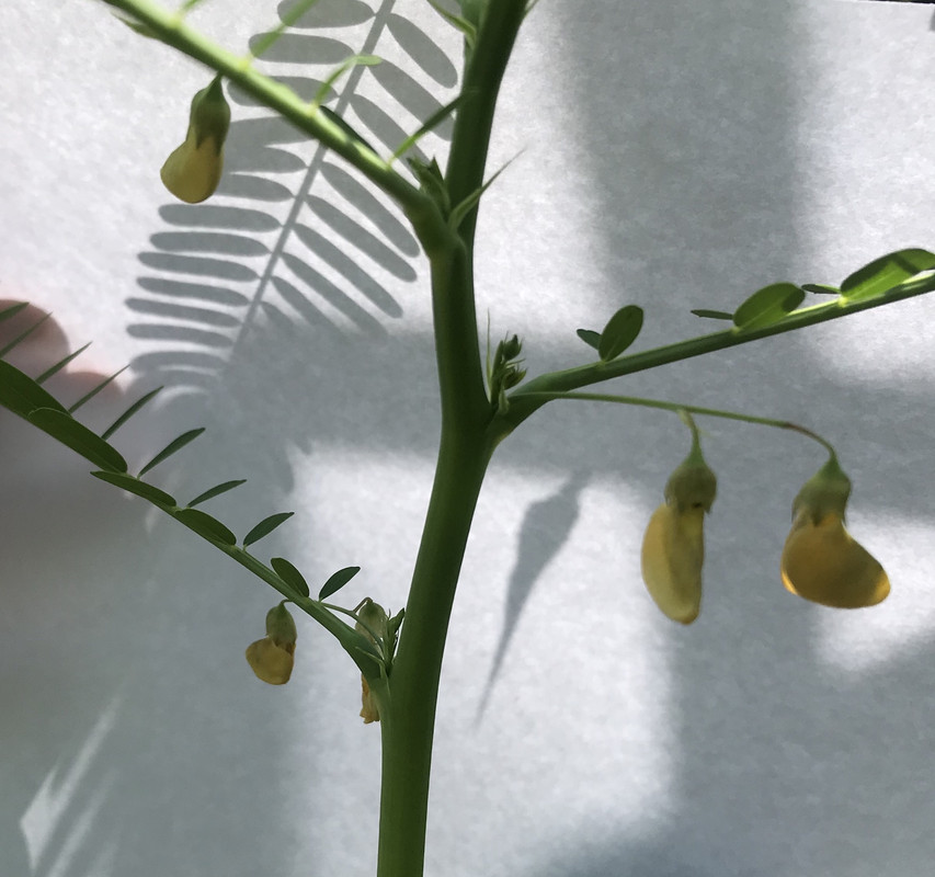 8980F733-0C2C-47B1-8241-AB406FF1DA71