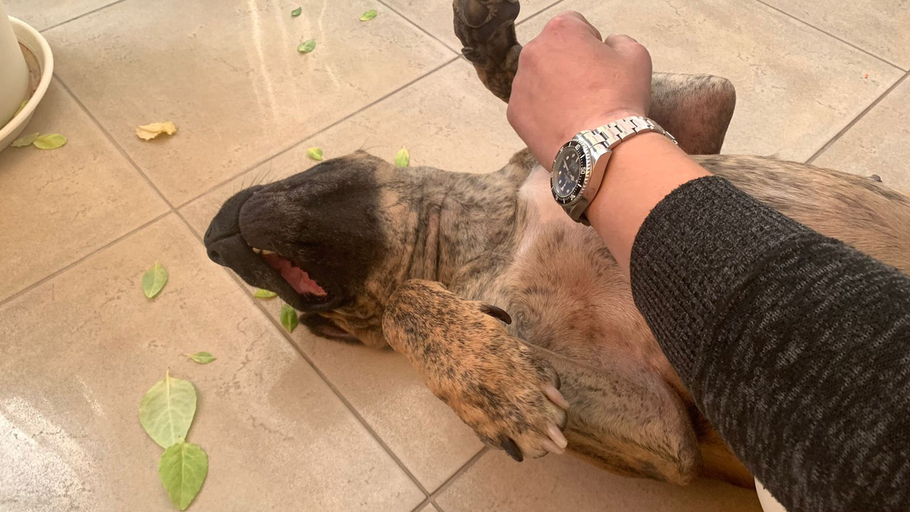 C3BBC832-BF7E-4248-83F6-7D7FB800C14E