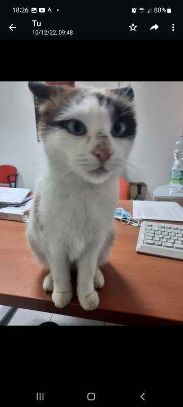 Screenshot_20230120-182610_WhatsApp