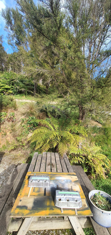 20231008_092151 (Custom)