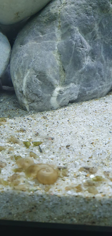 F5AB8B09-7FC7-40C5-B317-75BA9C26A50A