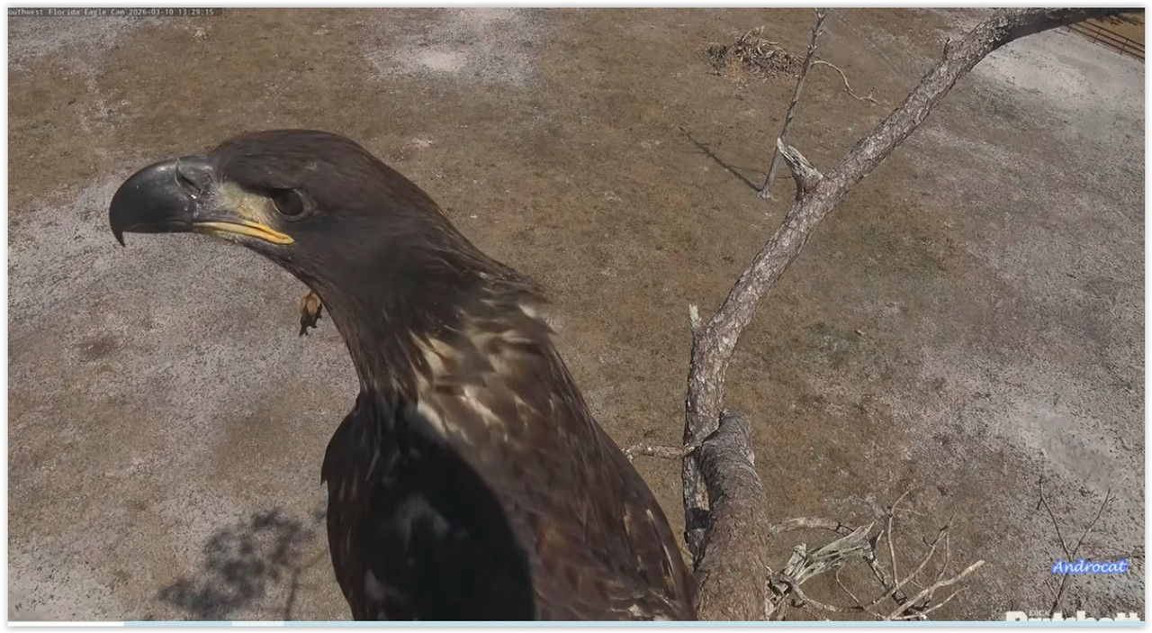 Screen Shot 03 13 26 at 08 45 AM