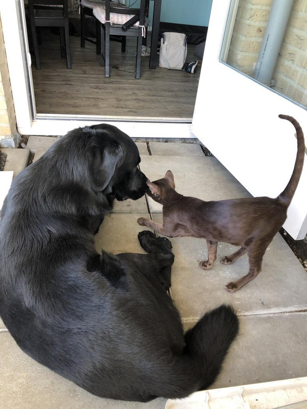 A598727B-B777-48F4-9258-2957B972FC57