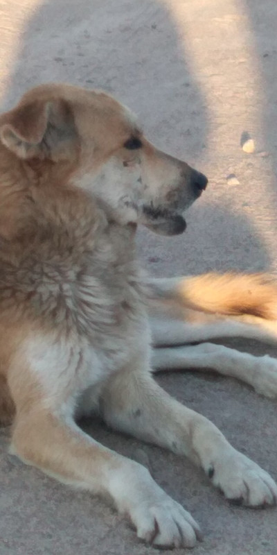 4FB696F2-1906-4097-AE9C-BE9E3C3E082C