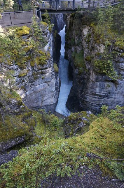 Vancouver y Rocosas Low Cost: Dos semanas por lo mejor de Canadá - Blogs de Canada - Día 6: Jasper y alrededores (1)