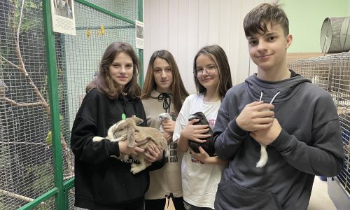 Діти з тваринами