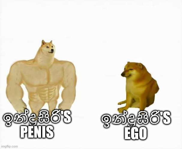 aczd0w.jpg