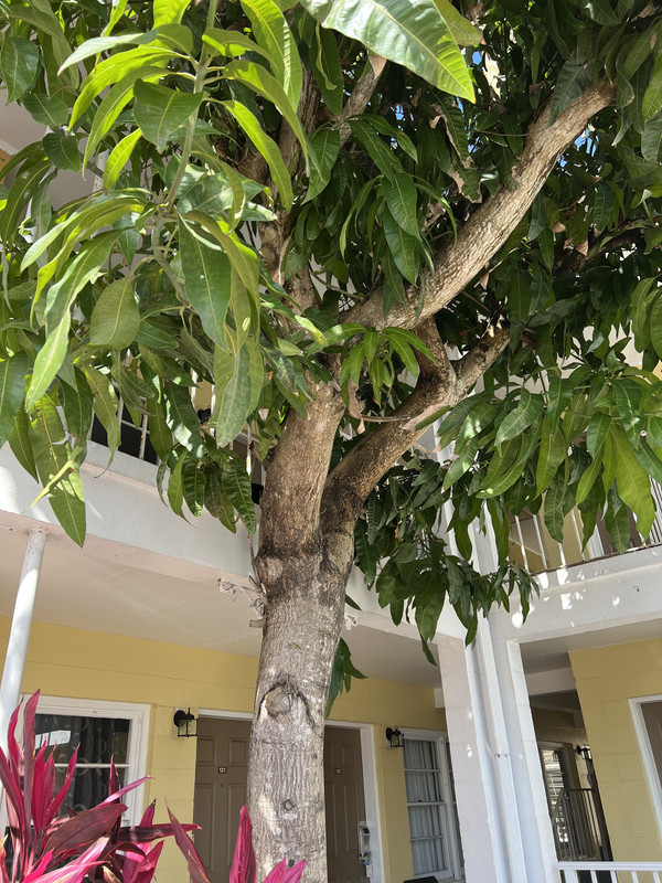 09E3BB98-183C-4CBF-B9D3-44499EA6C0D3