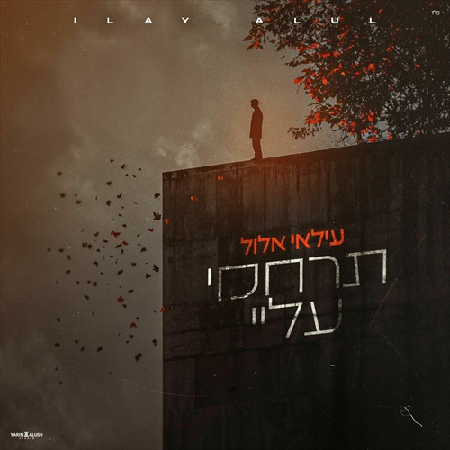 תמונה