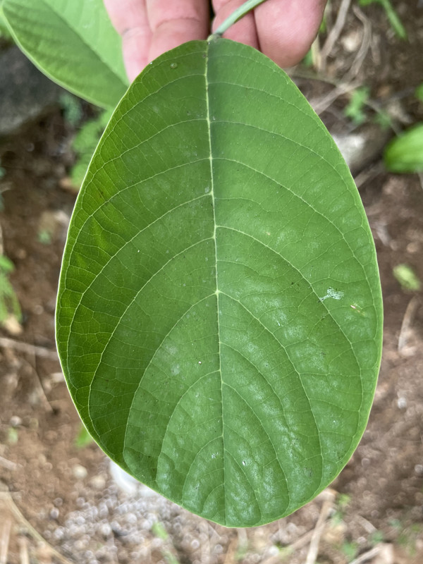 23168FF1-94C8-4020-9104-FA41A07A8B5E