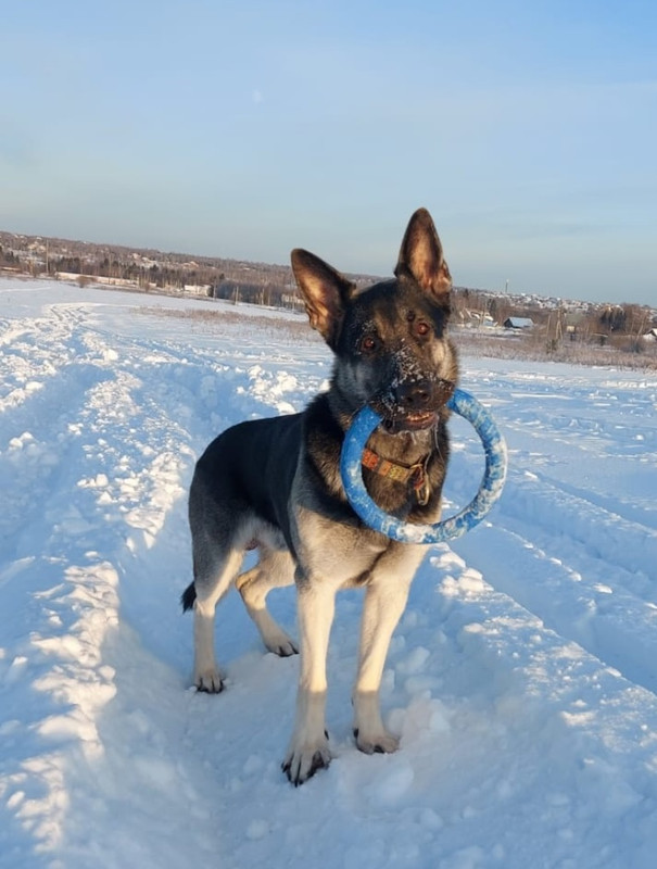 RfeJYGRuNWZX6lcjnF2lyE2Dt_eUn7ORVLE2vAtIdvINZmKbl1MKM_nVgCqCIH2LDaDertcOJ7goaHnf2D1fRoLz