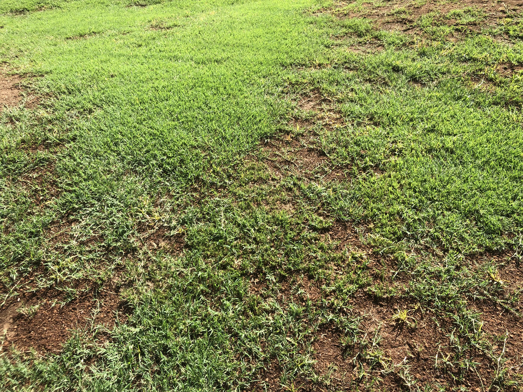 E1CC8705-1EB1-4092-9C29-150C44B39B95