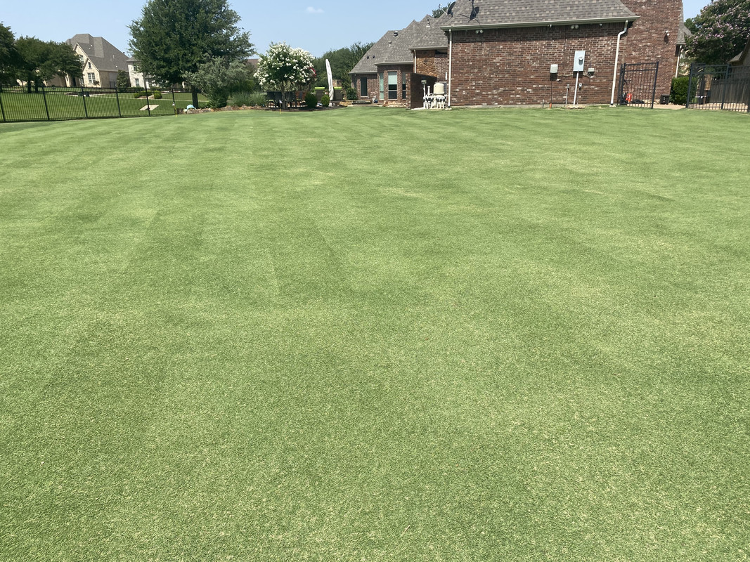 FF58BBD9-F606-401E-9FD0-A527B30072DB