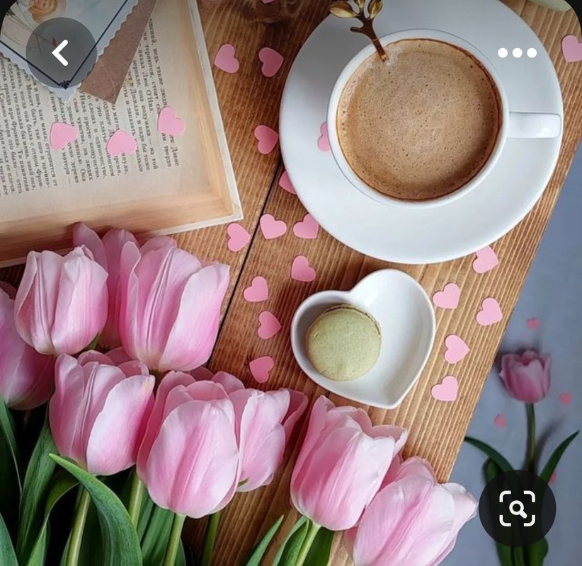 Screenshot_20230722_005222_Pinterest