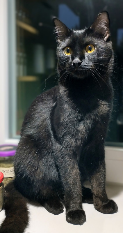 IMG_20250920_190106876_HDR~5