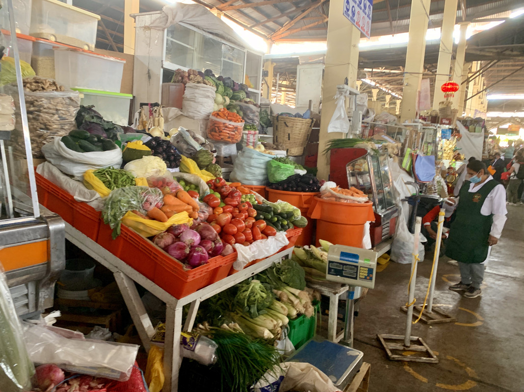 EEBF18DC-A5A0-495C-A5B5-D988616942B9