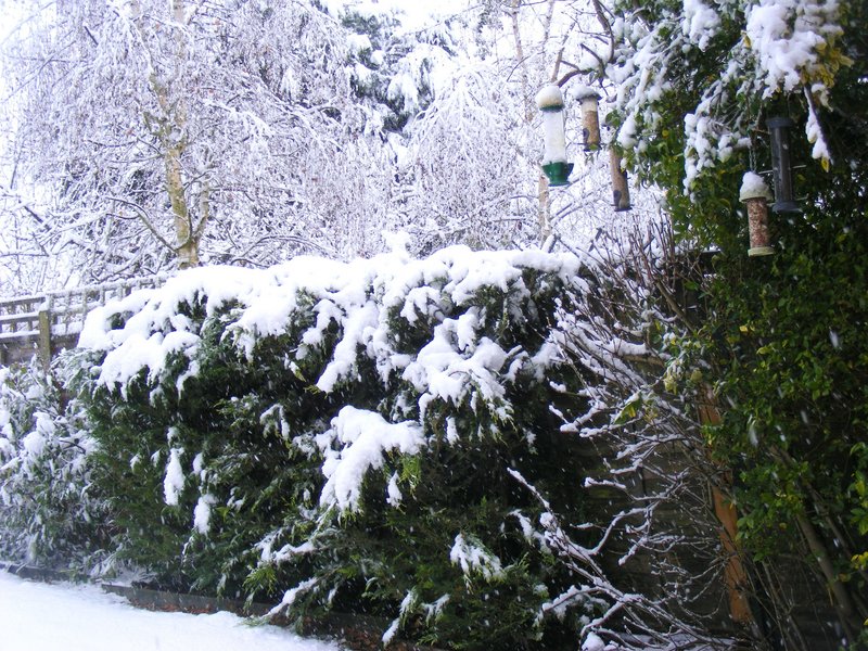 DSCF4995.jpg