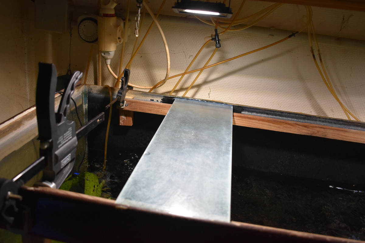 DSC_0003 - Copie (3)