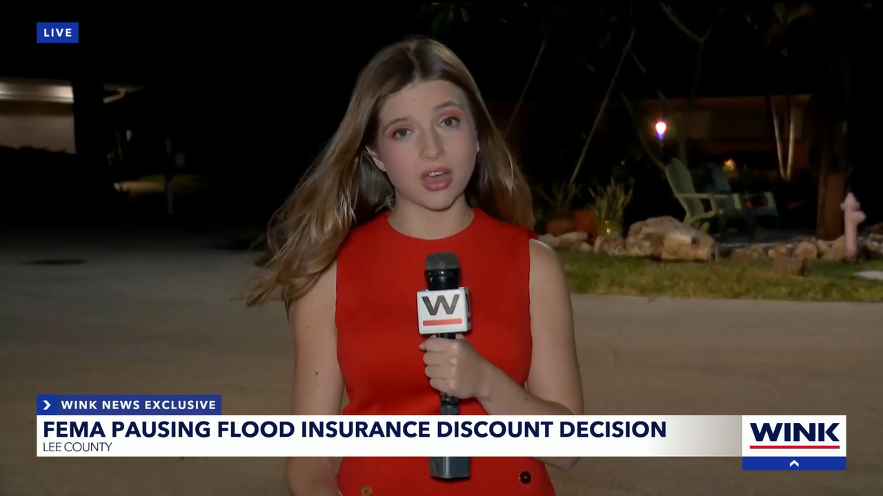 04.09 - 04.00.01 - WINK News at 11  ᴺᵉʷ. Local and regional news..ts_snapshot_07.03.099